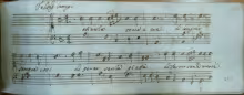 Pazienza tocca a me - I-Rc, Ms. 2466/16