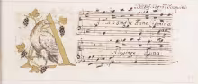 A lusinghe d’una femmina - F-Pn, Rés Vmf. MS-44/5