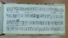 Ruscelletto vergognoso - I-Rc, Ms. 5109/7