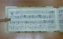 Ch’io ritorni o luci care - I-Rc, Ms. 5109/19