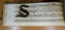 Spina acuta che al core - I-Rc, Ms. 2463/4