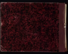 Cantate - I-Bc, DD.48