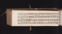 Donzelle tenere ch’ad huom mendace - I-Mc, A.54/66