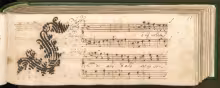 C. 17