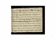 C. 33