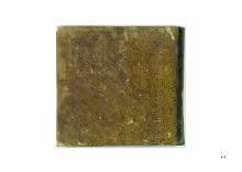 Piatto inferiore - © Biblioteca del Conservatorio Statale di Musica "San Pietro a Majella"