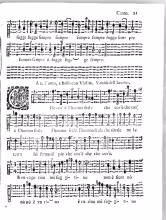Canto