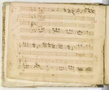 Mesta oh Dio fra queste selve - I-Nc, Cantate 304 (=34.5.23)/1