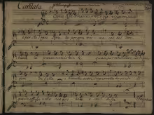 Cogliea rose Amarilli - I-Rama, A.Ms.3710/15