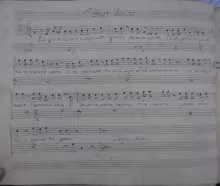 Pur giunto alfine è il sospirato giorno - I-Nc, Cantate 291 (=20.2.4)/2