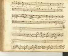 Successiva l'onda - I-Nc, Cantate 20/15