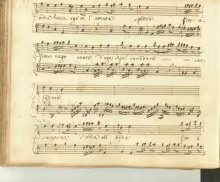 Successiva l'onda - I-Nc, Cantate 20/15