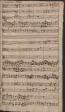 Regina creduta re. Fedele ubbidirò costante servirò - D-Bsb, Mus.ms.30182/7