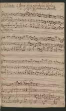 Cintia dolente e mesto - D-Bsb, Mus.ms.30182/47