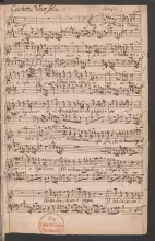 Non sa dire l'alma mia cosa sia - D-Bsb, Mus.ms. 30212/1