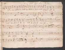 Più non puote il mio core - D-Bsb, Mus.ms. 30212/41