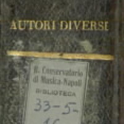 Dorso 