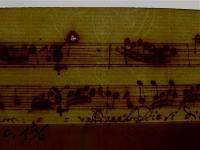 Filigrana 5 (c. 196)