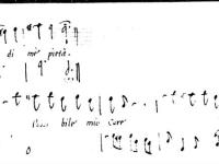 © Venezia – Venezia - Biblioteca della Fondazione Querini Stampalia onlus