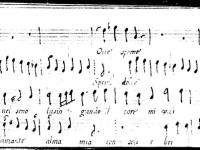 © Venezia - Biblioteca della Fondazione Querini Stampalia onlus