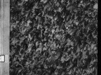 Prima copertina © Bruxelles - Conservatoire Royal, Bibliothèque