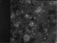 © Bruxelles - Conservatoire Royal, Bibliothèque