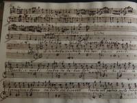 © Bruxelles - Conservatoire Royal, Bibliothèque