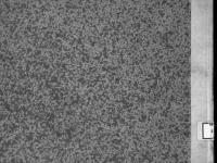 © Bruxelles - Conservatoire Royal, Bibliothèque