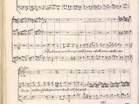 © Bruxelles - Conservatoire Royal, Bibliothèque