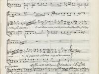 © Bruxelles - Conservatoire Royal, Bibliothèque