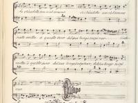 © Bruxelles - Conservatoire Royal, Bibliothèque