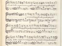 © Bruxelles - Conservatoire Royal, Bibliothèque