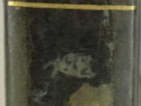 Dorso - © Napoli - Biblioteca del Conservatorio Statale di Musica &quot;San Pietro a Majella&quot;