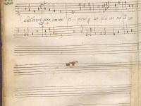 © Bruxelles - Conservatoire Royal, Bibliothèque