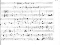 © Bruxelles - Conservatoire Royal, Bibliothèque