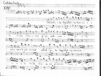 © Bruxelles - Conservatoire Royal, Bibliothèque