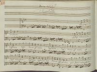 © Bruxelles - Conservatoire Royal, Bibliothèque