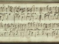 Mira oh Filli crudele