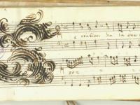 Se tra fiori ha la sua cuna