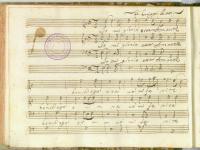 Io mi glorio esser Amante