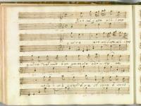 Non mi fate più languire