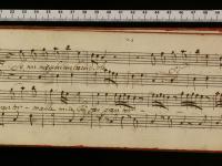 La schiavitù fortunata. Se mi nieghi un baccio solo