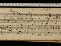 Dove sei ove fuggisti