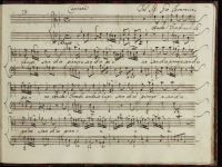 Anche i tronchi anche le rupi