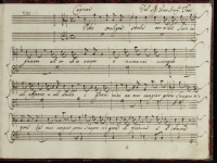 Vibrò maligna stella