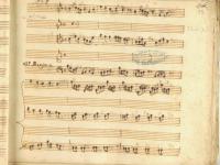 Chi mai non vide fuggire