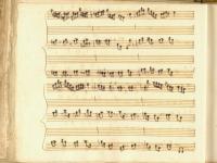 Chi mai non vide fuggire