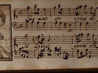 Alma mia spera chi sa