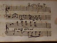 O quanto gode un cor