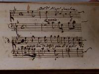 O quanto hai da soffrir